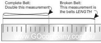 BELTMEASURERULER