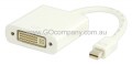 MINI_DISPLAYPORT_54f943daad101.jpg